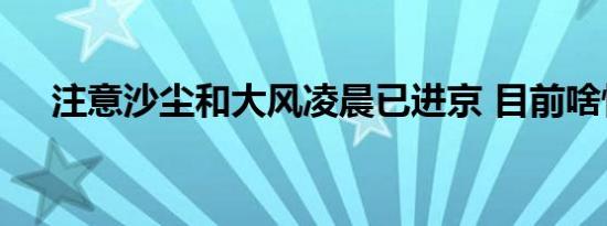 注意沙尘和大风凌晨已进京 目前啥情况