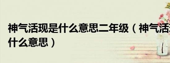 神气活现是什么意思二年级（神气活现的现是什么意思）