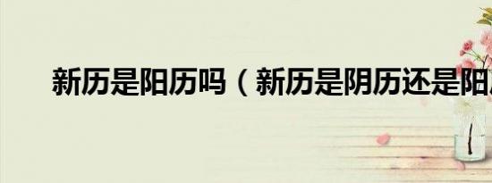新历是阳历吗（新历是阴历还是阳历）