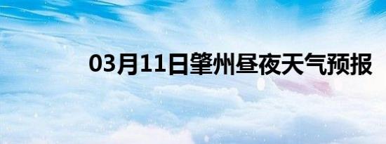 03月11日肇州昼夜天气预报