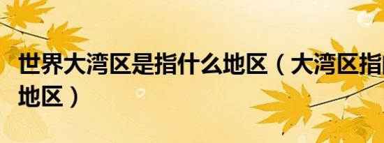 世界大湾区是指什么地区（大湾区指的是哪些地区）
