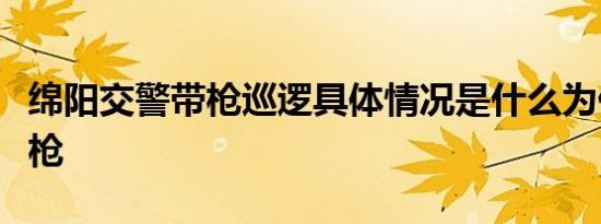 绵阳交警带枪巡逻具体情况是什么为什么要带枪