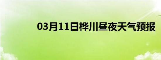 03月11日桦川昼夜天气预报
