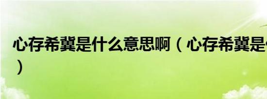 心存希冀是什么意思啊（心存希冀是什么意思）