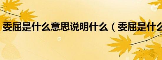 委屈是什么意思说明什么（委屈是什么意思）
