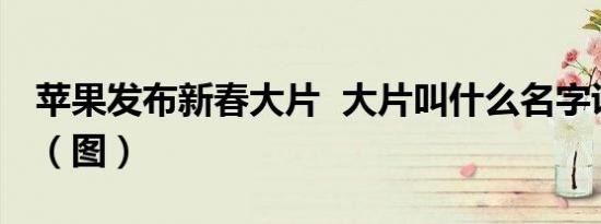 苹果发布新春大片 大片叫什么名字讲了什么（图）