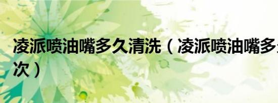 凌派喷油嘴多久清洗（凌派喷油嘴多久清洗一次）