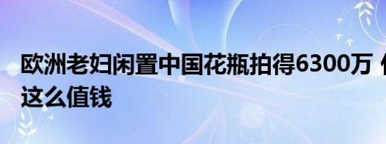 欧洲老妇闲置中国花瓶拍得6300万 什么花瓶这么值钱