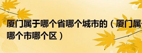 厦门属于哪个省哪个城市的（厦门属于哪个省哪个市哪个区）