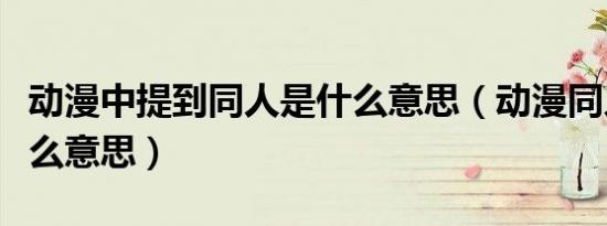 动漫中提到同人是什么意思（动漫同人是指什么意思）