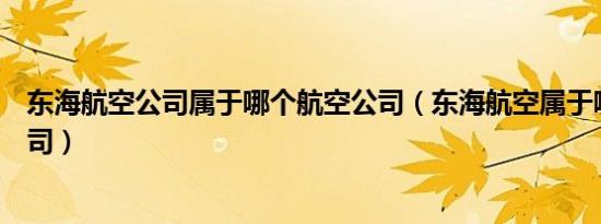 东海航空公司属于哪个航空公司（东海航空属于哪个航空公司）
