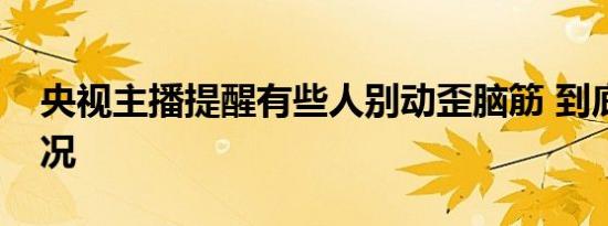央视主播提醒有些人别动歪脑筋 到底是啥情况