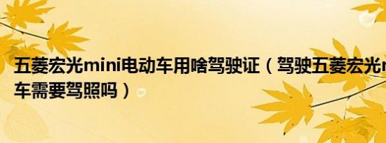 五菱宏光mini电动车用啥驾驶证（驾驶五菱宏光mini版电动车需要驾照吗）