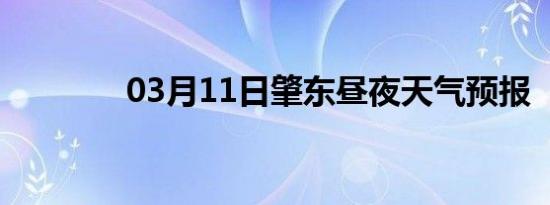 03月11日肇东昼夜天气预报