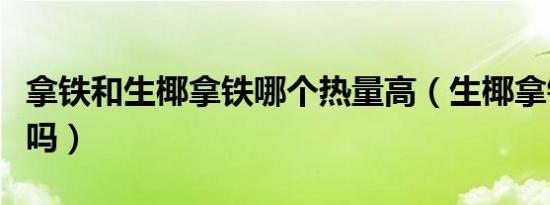 拿铁和生椰拿铁哪个热量高（生椰拿铁热量高吗）