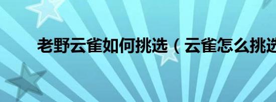 老野云雀如何挑选（云雀怎么挑选）