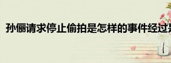 孙俪请求停止偷拍是怎样的事件经过是什么