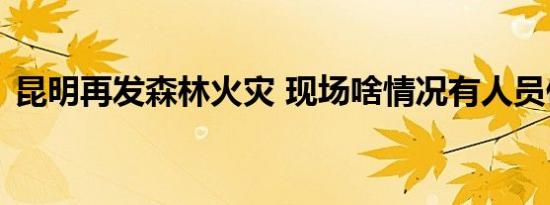 昆明再发森林火灾 现场啥情况有人员伤亡吗
