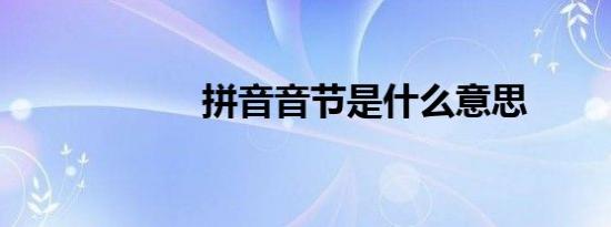 拼音音节是什么意思