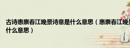 古诗惠崇春江晚景诗意是什么意思（惠崇春江晚景的诗意是什么意思）