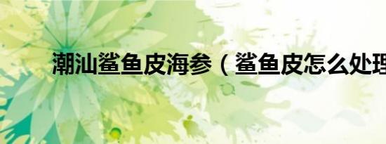 潮汕鲨鱼皮海参（鲨鱼皮怎么处理）