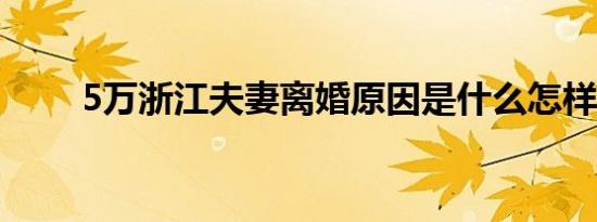 5万浙江夫妻离婚原因是什么怎样的