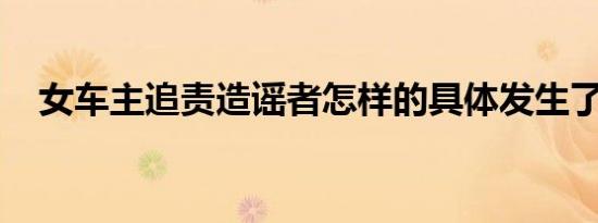 女车主追责造谣者怎样的具体发生了什么