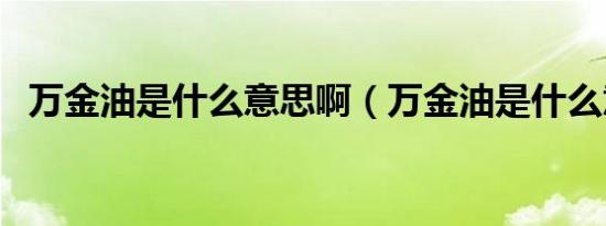万金油是什么意思啊（万金油是什么意思）