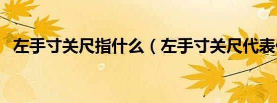 左手寸关尺指什么（左手寸关尺代表什么）
