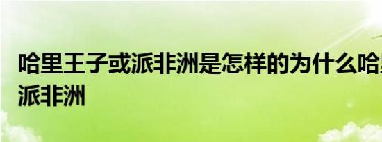 哈里王子或派非洲是怎样的为什么哈里王子或派非洲