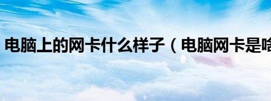 电脑上的网卡什么样子（电脑网卡是啥样的）