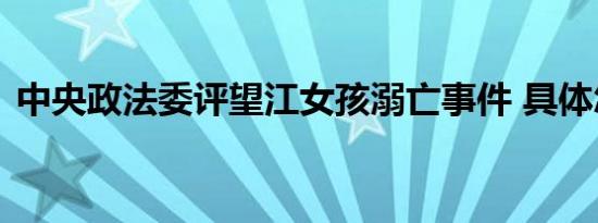 中央政法委评望江女孩溺亡事件 具体怎样的