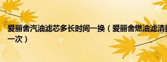 爱丽舍汽油滤芯多长时间一换（爱丽舍燃油滤清器多久更换一次）