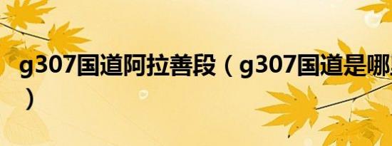 g307国道阿拉善段（g307国道是哪里到哪里）