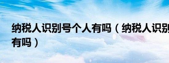 纳税人识别号个人有吗（纳税人识别号 个人有吗）