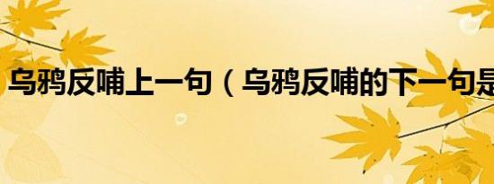 乌鸦反哺上一句（乌鸦反哺的下一句是什么）