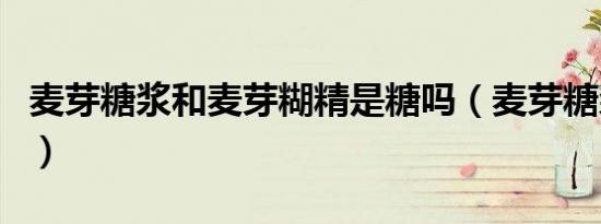 麦芽糖浆和麦芽糊精是糖吗（麦芽糖浆是糖吗）