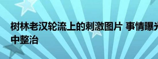 树林老汉轮流上的刺激图片 事情曝光后被集中整治