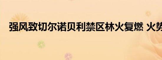 强风致切尔诺贝利禁区林火复燃 火势大么