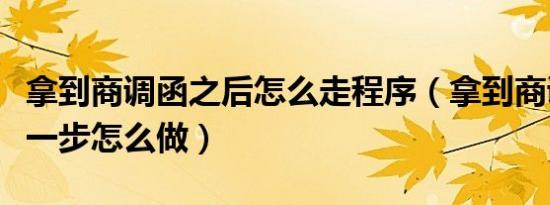 拿到商调函之后怎么走程序（拿到商调函后下一步怎么做）