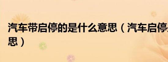 汽车带启停的是什么意思（汽车启停是什么意思）