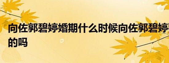 向佐郭碧婷婚期什么时候向佐郭碧婷要结婚真的吗