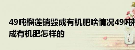 49吨榴莲销毁成有机肥啥情况49吨榴莲销毁成有机肥怎样的