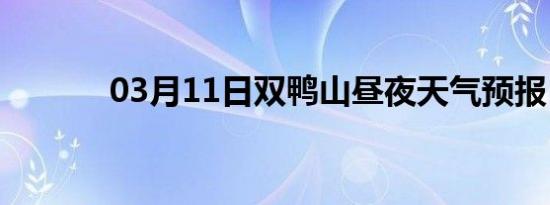 03月11日双鸭山昼夜天气预报