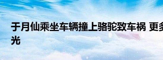 于月仙乘坐车辆撞上骆驼致车祸 更多细节曝光