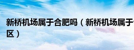 新桥机场属于合肥吗（新桥机场属于合肥哪个区）