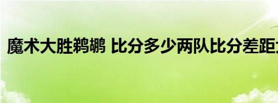 魔术大胜鹈鹕 比分多少两队比分差距大不大