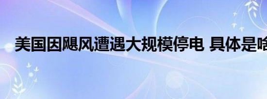 美国因飓风遭遇大规模停电 具体是啥情况
