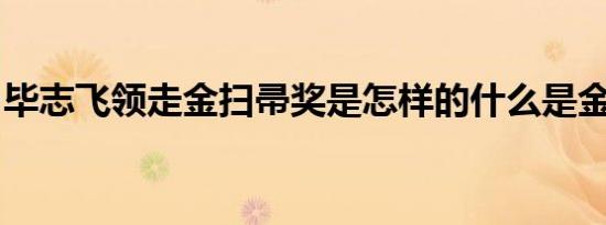 毕志飞领走金扫帚奖是怎样的什么是金扫帚奖