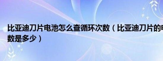 比亚迪刀片电池怎么查循环次数（比亚迪刀片的电池循环次数是多少）